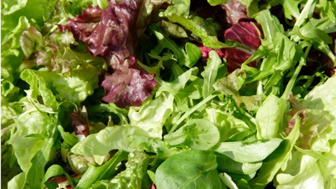 Salades mélangées en sachet: qualité, prix, valeur nutritionnelle, hygiène et conservation